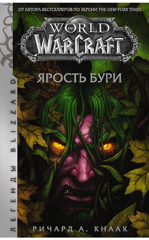 Обложка книги «World of Warcraft. Ярость Бури» автора Ричарда Кнаака. ISBN 9785171223533.