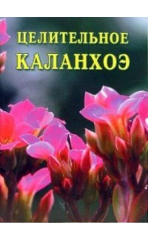 Обложка книги «Целительное каланхоэ» автора Ивана Дубровина издание 2007 года. ISBN 5941328001.