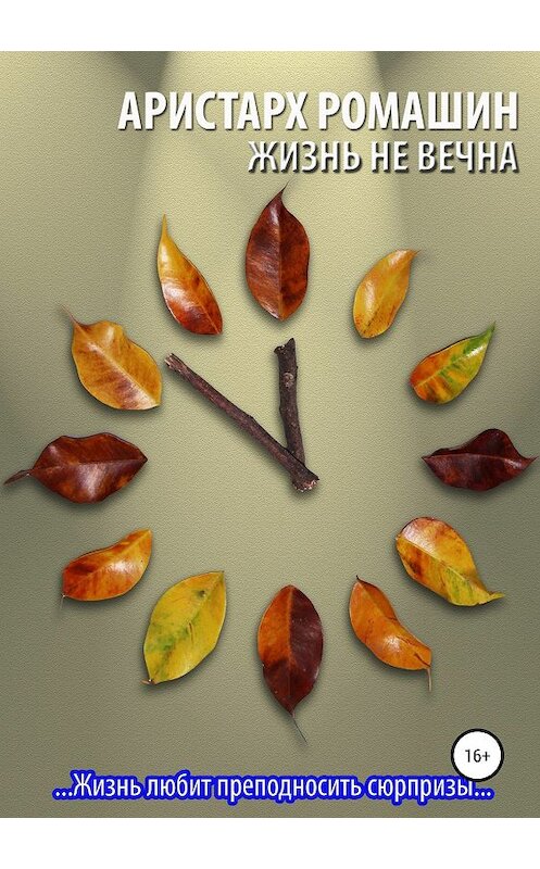 Обложка книги «Жизнь не вечна» автора Аристарха Ромашина издание 2019 года.