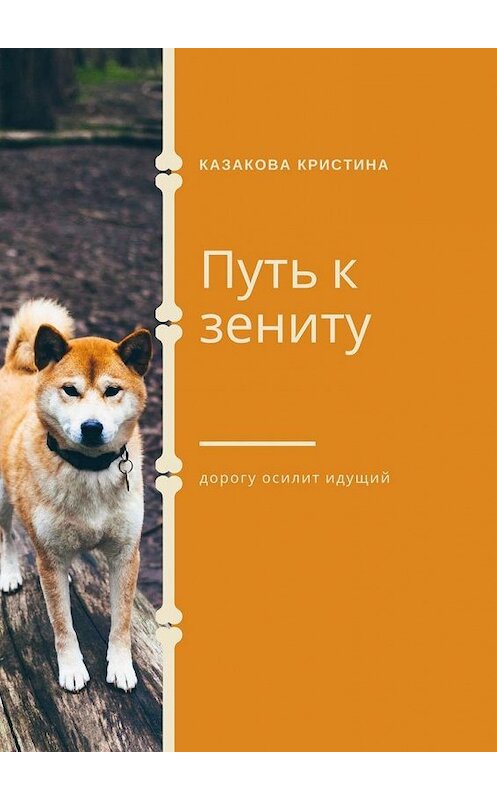 Обложка книги «Путь к зениту» автора Кристиной Казаковы. ISBN 9785005190789.