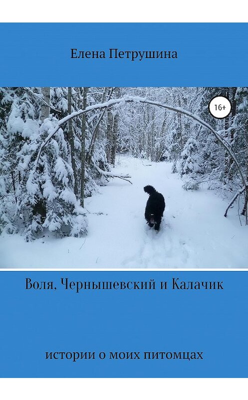 Обложка книги «Воля, Чернышевский и Калачик» автора Елены Петрушины издание 2020 года.