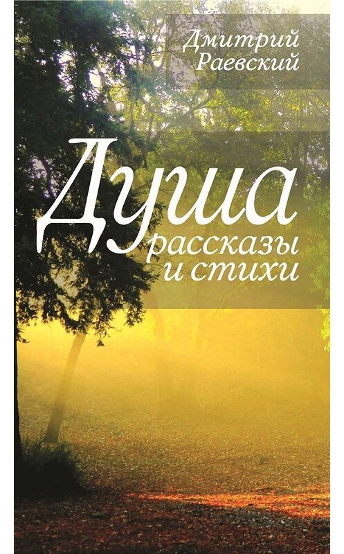 Обложка книги «Душа. Рассказы и стихи» автора Дмитрия Раевския издание 2014 года. ISBN 9785443809557.