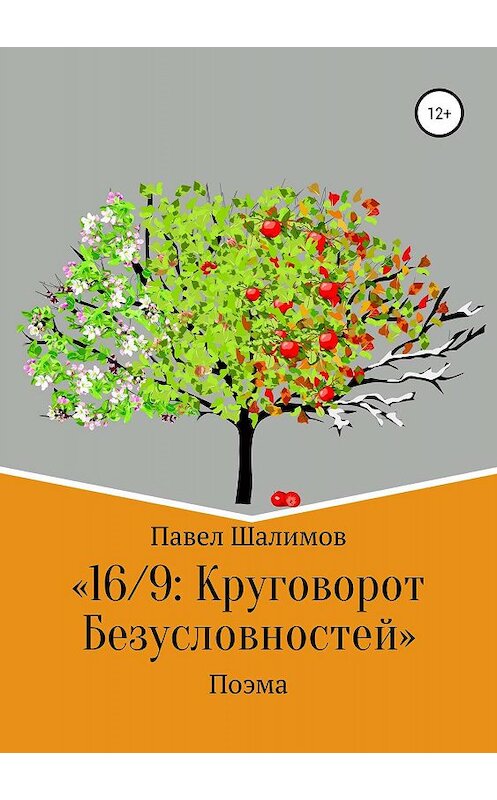 Обложка книги «16/9: круговорот безусловностей. Поэма» автора Павела Шалимова издание 2019 года.