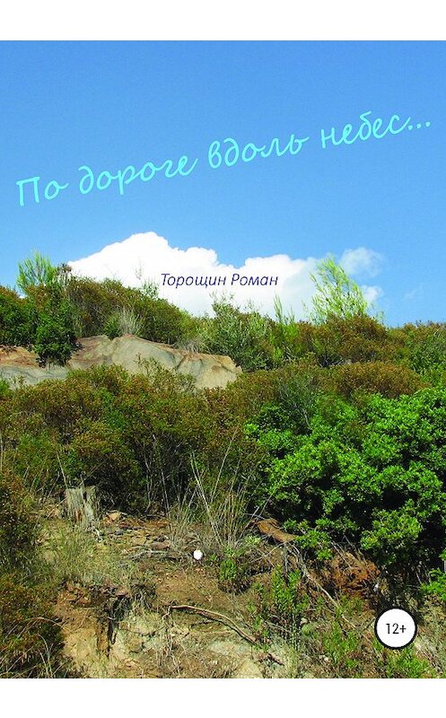 Обложка книги «По дороге вдоль небес» автора Романа Торощина издание 2020 года.