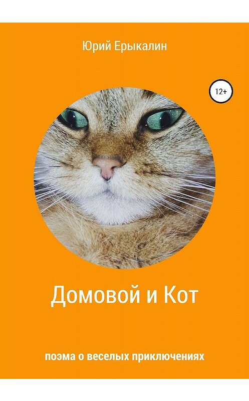 Обложка книги «Домовой и Кот» автора Юрия Ерыкалина издание 2019 года.