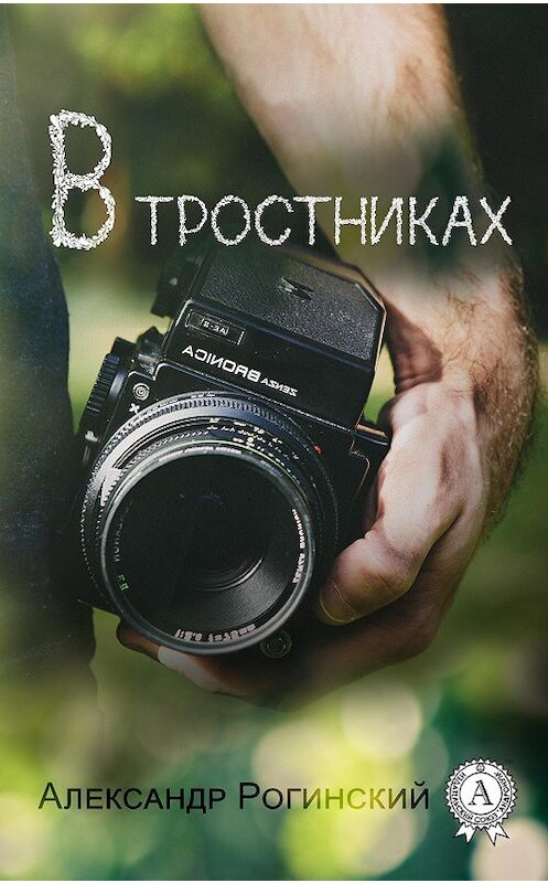 Обложка книги «В тростниках» автора Александра Рогинския. ISBN 9781387715114.