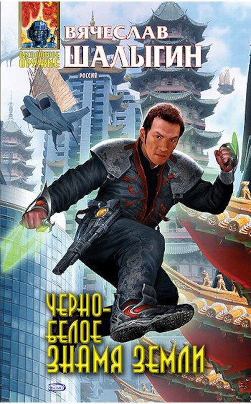 Обложка книги «Черно-белое знамя Земли» автора Вячеслава Шалыгина издание 2007 года. ISBN 9785699226764.