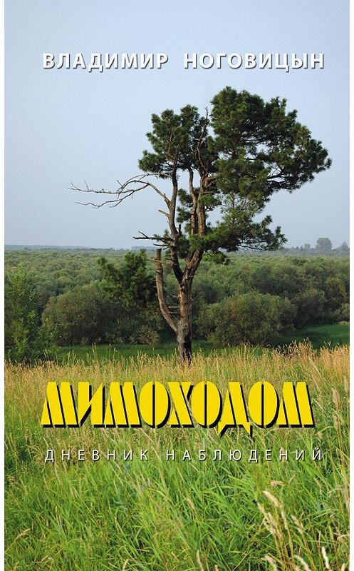 Обложка книги «Мимоходом. Дневник наблюдений» автора Владимира Ноговицына издание 2012 года. ISBN 9785432900241.