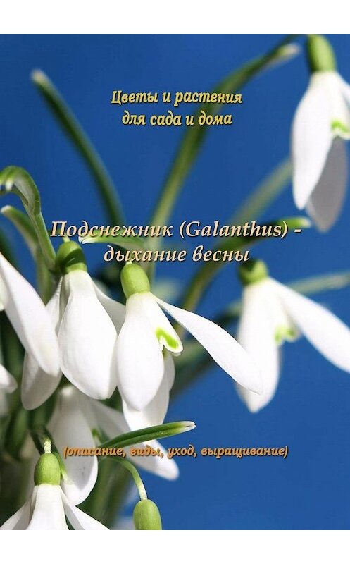 Обложка книги «Подснежник (Galanthus) – дыхание весны» автора Федора Кольцова. ISBN 9785448548987.