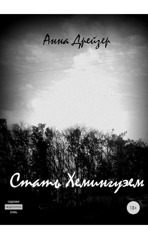 Обложка книги «Стать Хемингуэем» автора Анны Дрейзер издание 2018 года.