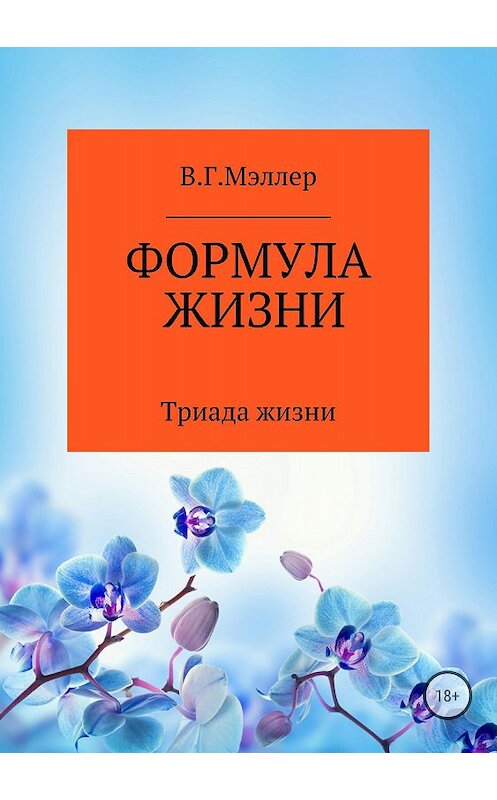 Обложка книги «Формула жизни» автора Виктора Мэллера издание 2018 года. ISBN 9785532122840.