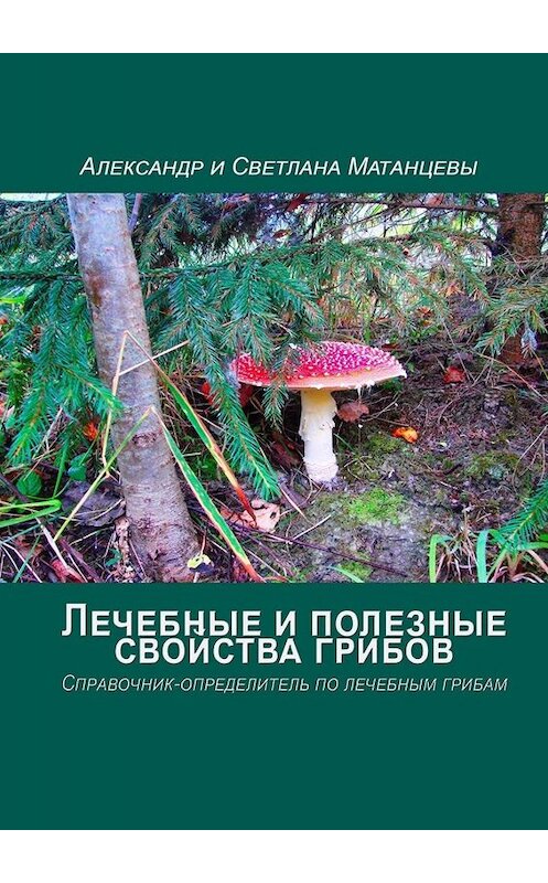 Обложка книги «Лечебные и полезные свойства грибов. Справочник-определитель по лечебным грибам» автора . ISBN 9785449683564.