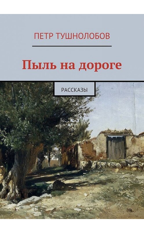 Обложка книги «Пыль на дороге» автора Петра Тушнолобова. ISBN 9785447470524.