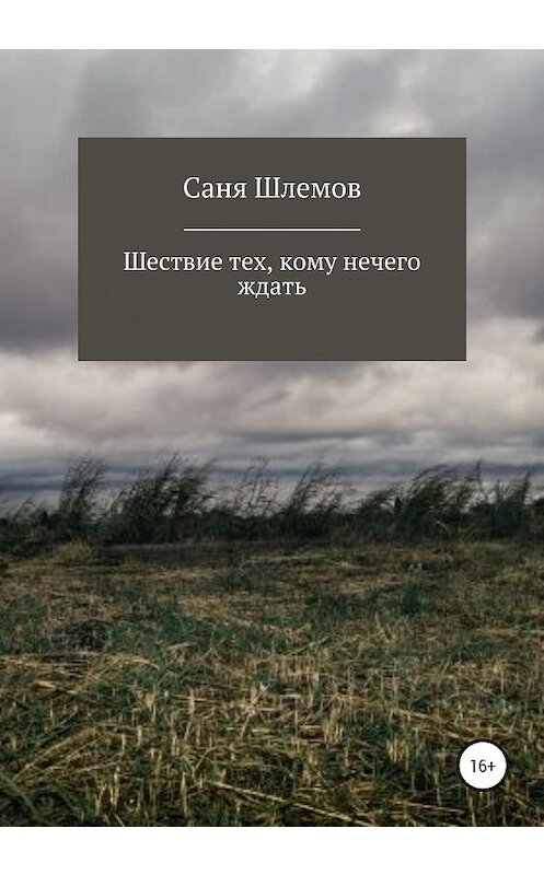 Обложка книги «Шествие тех, кому нечего ждать…» автора Сани Шлемова издание 2020 года.