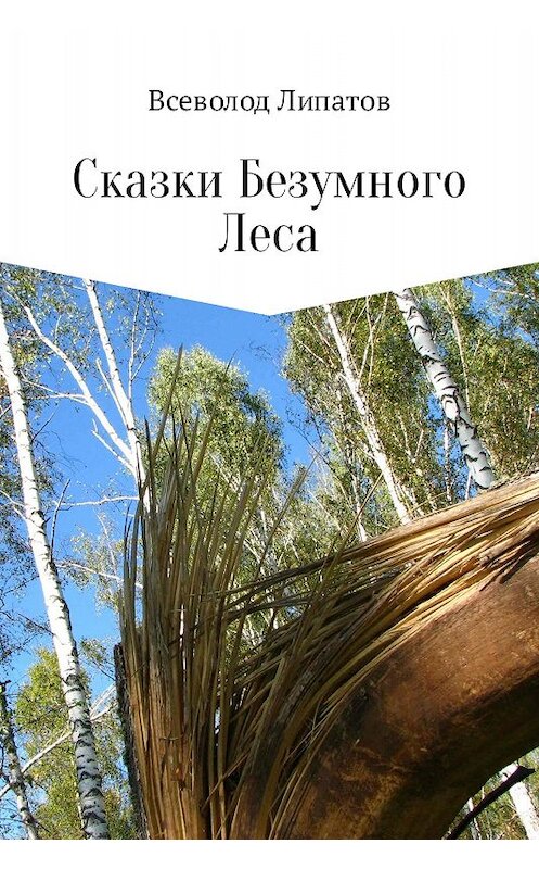 Обложка книги «Сказки Безумного Леса» автора Всеволода Липатова.