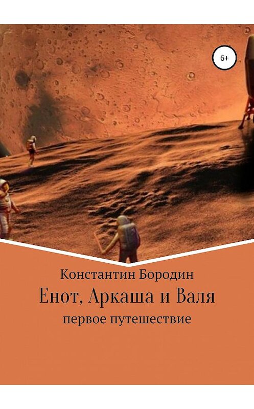 Обложка книги «Енот, Аркаша и Валя» автора Константина Бородина издание 2019 года.