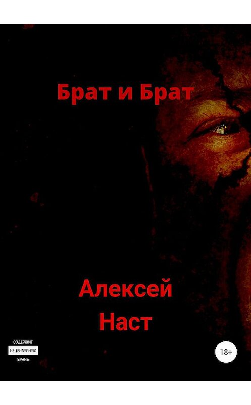 Обложка книги «Брат и Брат» автора Алексея Наста издание 2018 года. ISBN 9785532123007.