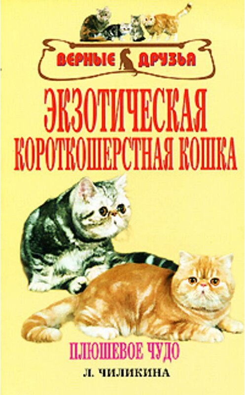 Обложка книги «Экзотическая короткошерстная кошка» автора Л. Чиликины издание 2008 года. ISBN 9785984357852.