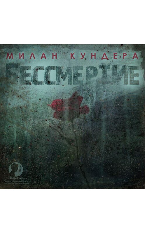 Обложка аудиокниги «Бессмертие» автора Милан Кундеры.