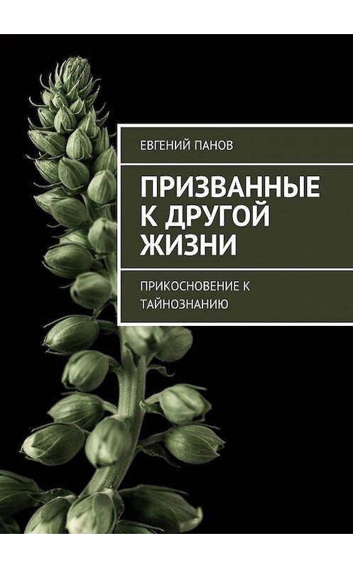 Обложка книги «Призванные к другой жизни. Прикосновение к тайнознанию» автора Евгеного Панова. ISBN 9785448367182.