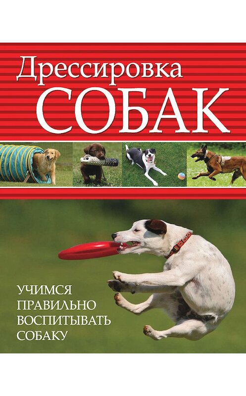 Обложка книги «Дрессировка собак. Учимся правильно воспитывать собаку» автора Неустановленного Автора издание 2012 года. ISBN 9789851805705.