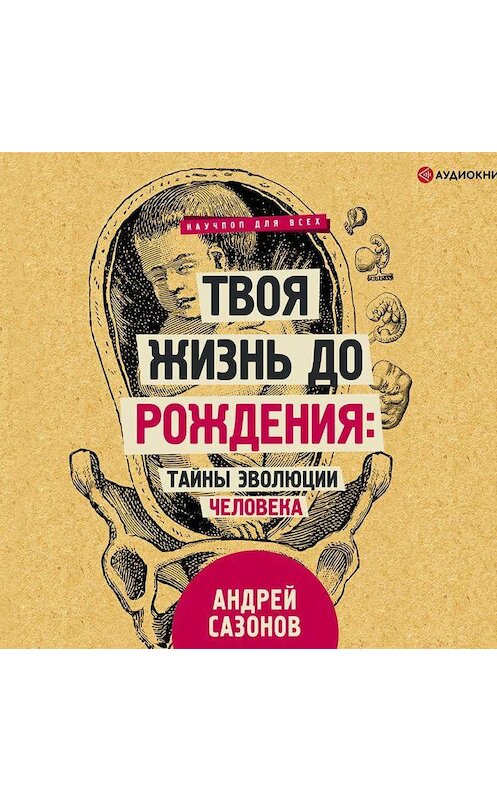 Обложка аудиокниги «Твоя жизнь до рождения: тайны эволюции человека» автора Андрея Сазонова.