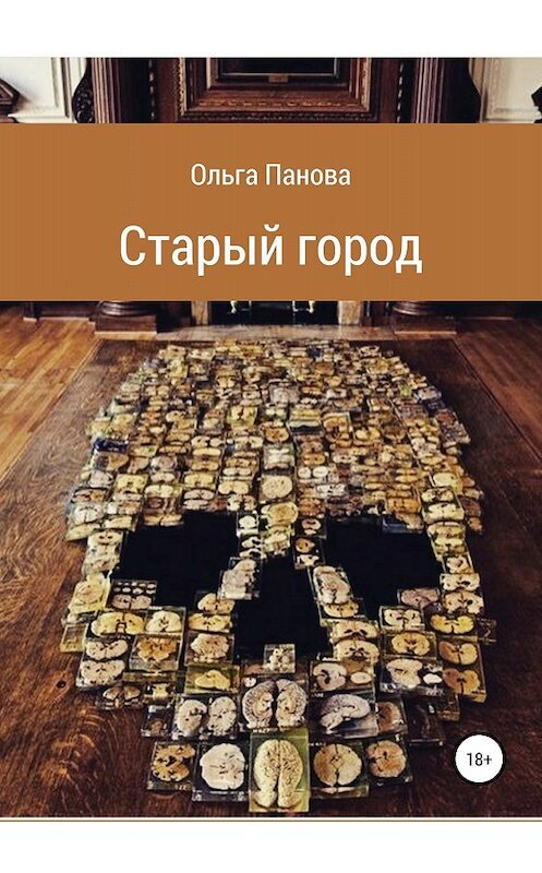 Обложка книги «Старый город» автора Ольги Пановы издание 2018 года.