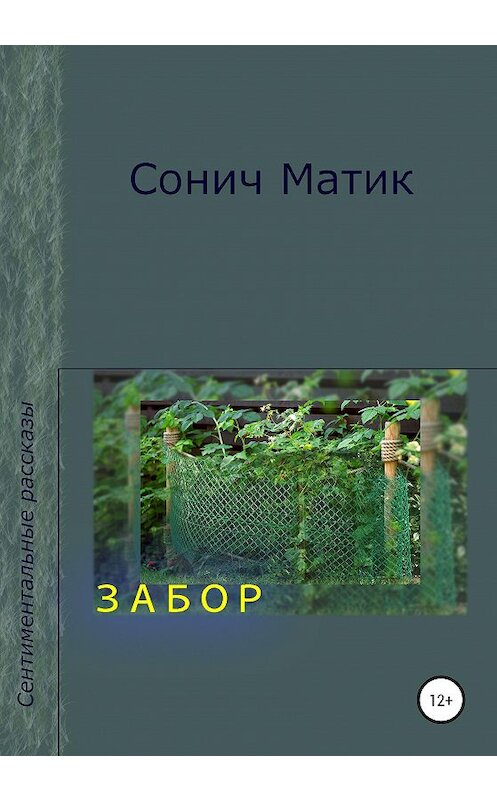 Обложка книги «Забор» автора Сонича Матика издание 2020 года.