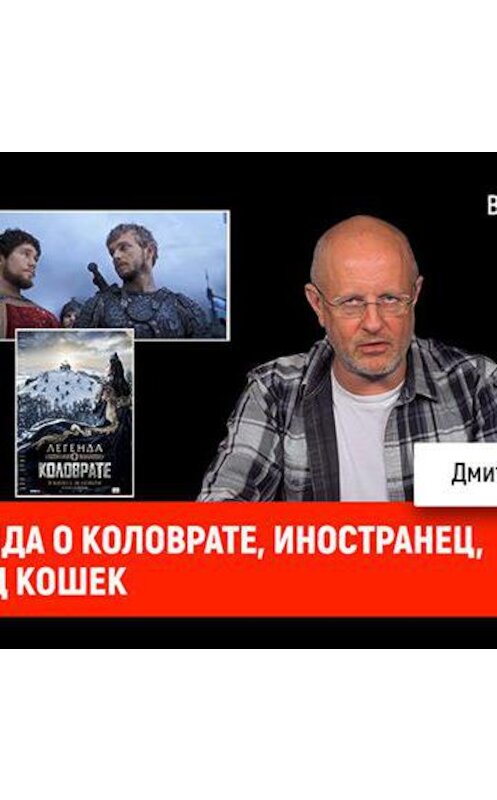 Обложка аудиокниги «Легенда о Коловрате, Иностранец, Город кошек» автора Дмитрия Пучкова.