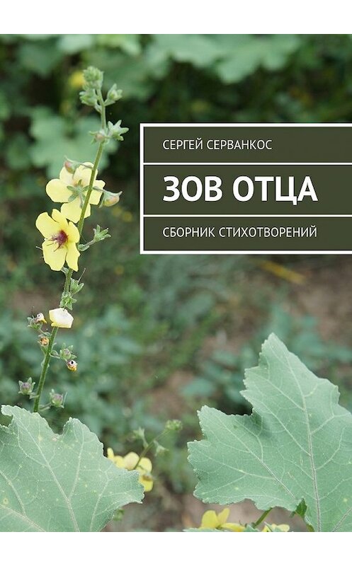 Обложка книги «Зов Отца. Сборник стихотворений» автора Сергея Серванкоса. ISBN 9785448523120.