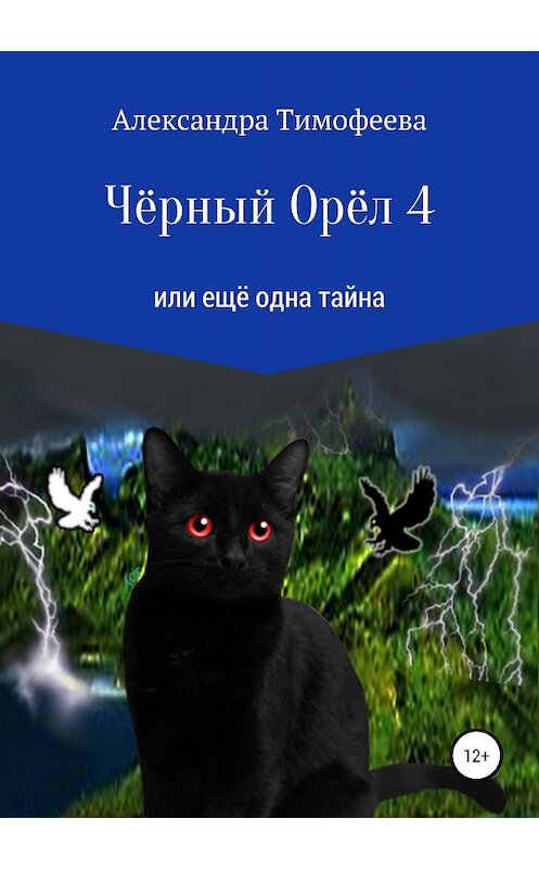 Обложка книги «Чёрный Орёл 4 или ещё одна тайна» автора Александры Тимофеевы издание 2019 года.