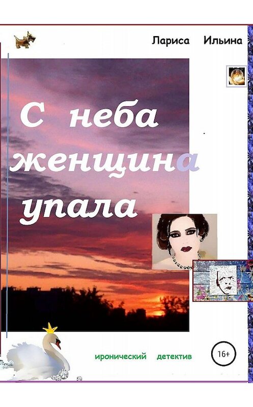 Обложка книги «С неба женщина упала» автора Лариси Ильины издание 2019 года.