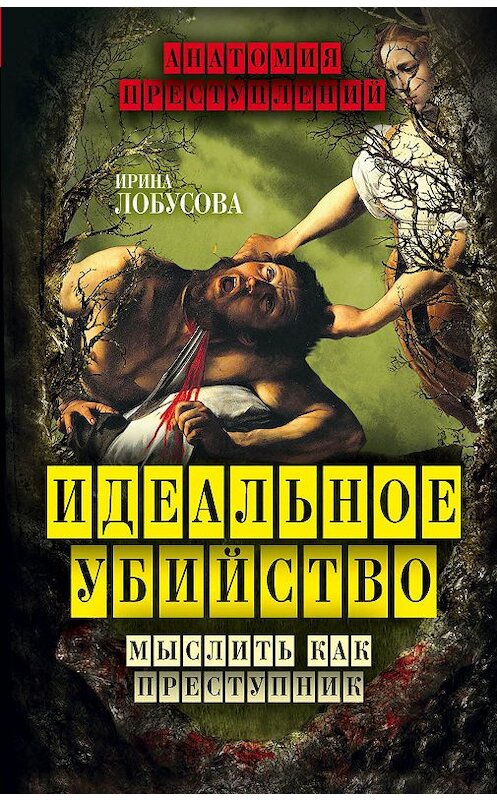 Обложка книги «Идеальное убийство. Мыслить как преступник» автора Ириной Лобусовы издание 2015 года. ISBN 9785906789365.