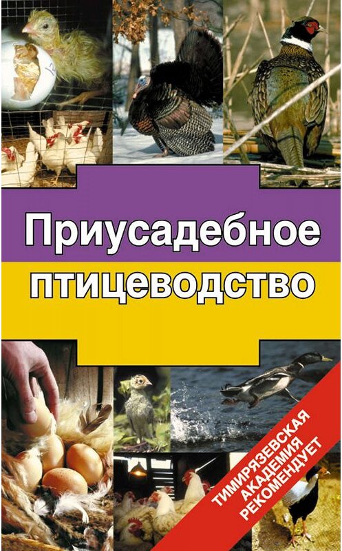 Обложка книги «Приусадебное птицеводство» автора Эдуарда Бондарева издание 2007 года. ISBN 9785170275458.