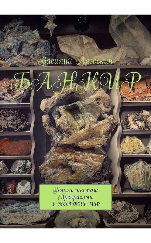 Обложка книги «Банкир. Книга шестая: Прекрасный и жестокий мир» автора Василия Лягоскина. ISBN 9785449318961.