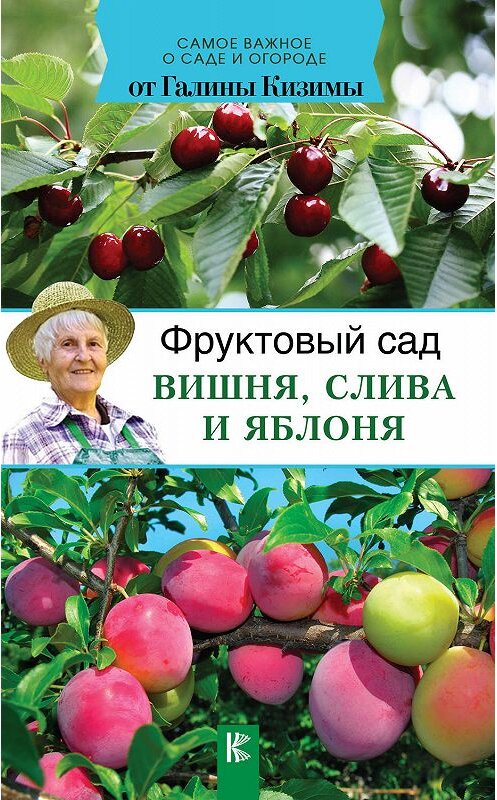 Обложка книги «Фруктовый сад. Вишня, слива и яблоня» автора Галиной Кизимы издание 2018 года. ISBN 9785171065423.