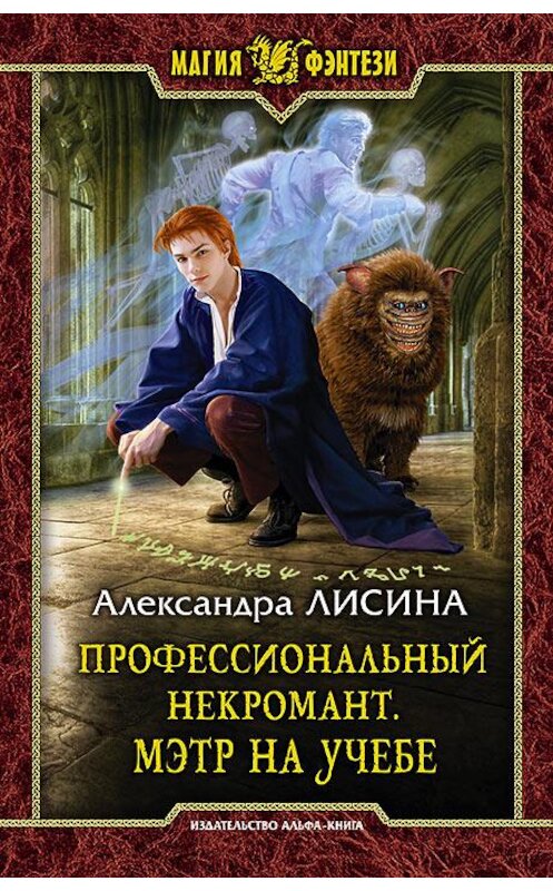 Обложка книги «Профессиональный некромант. Мэтр на учебе» автора Александры Лисины издание 2016 года. ISBN 9785992223460.