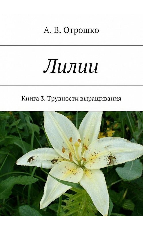 Обложка книги «Лилии» автора А. Отрошко. ISBN 9785447462178.