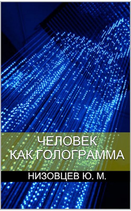 Обложка книги «Человек как голограмма» автора Юрия Низовцева.