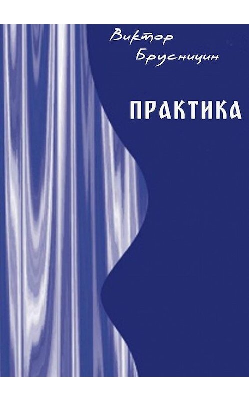 Обложка книги «Практика» автора Виктора Брусницина. ISBN 9785447407131.