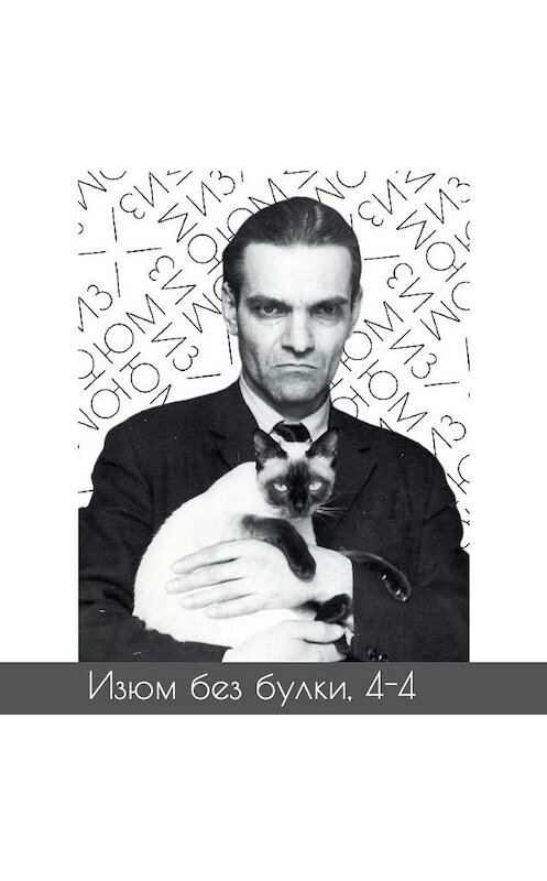 Обложка аудиокниги «#4-4 Древние языки; Кнорозов — Кошка Ася — Майя» автора Михаил Хайми.