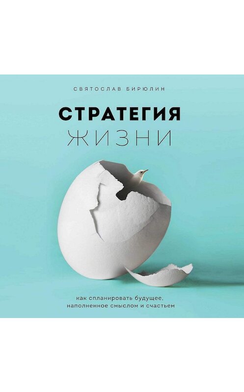 Обложка аудиокниги «Стратегия жизни. Как спланировать будущее, наполненное смыслом и счастьем» автора Святослава Бирюлина.