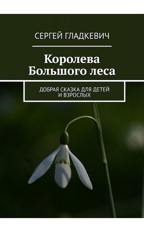 Обложка книги «Королева Большого леса. Добрая сказка для детей и взрослых» автора Сергея Гладкевича. ISBN 9785449668165.