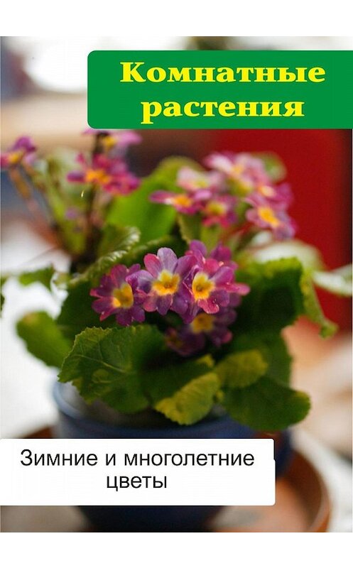 Обложка книги «Комнатные растения. Зимние и многолетние цветы» автора Ильи Мельникова.