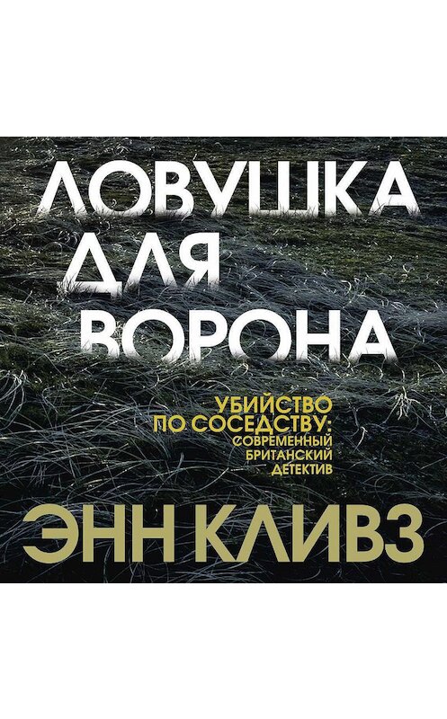 Обложка аудиокниги «Ловушка для ворона» автора Энна Кливза.
