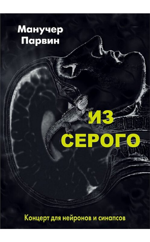 Обложка книги «Из серого. Концерт для нейронов и синапсов» автора Манучера Парвина издание 2015 года. ISBN 9785906150233.