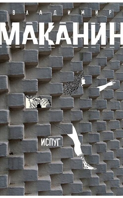 Обложка книги «Испуг» автора Владимира Маканина издание 2011 года. ISBN 9785699498925.