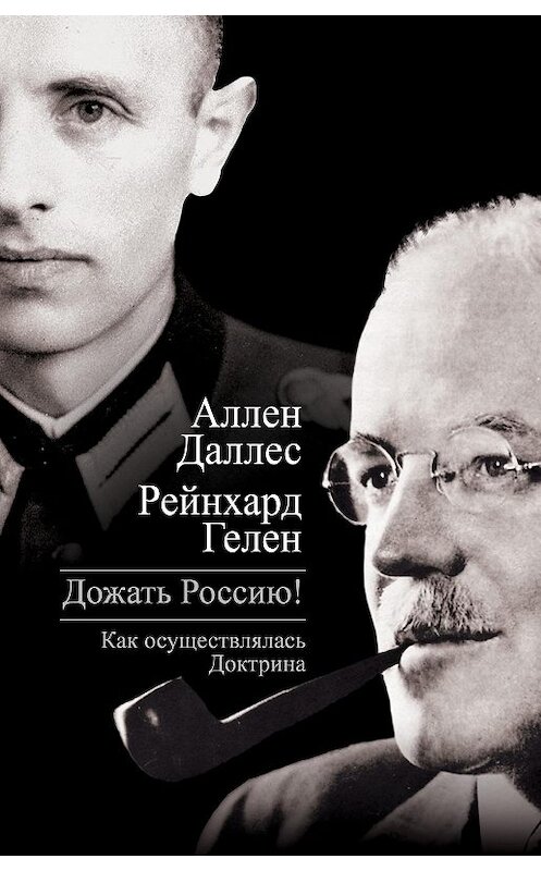 Обложка книги «Дожать Россию! Как осуществлялась Доктрина» автора  издание 2014 года. ISBN 9785443807973.