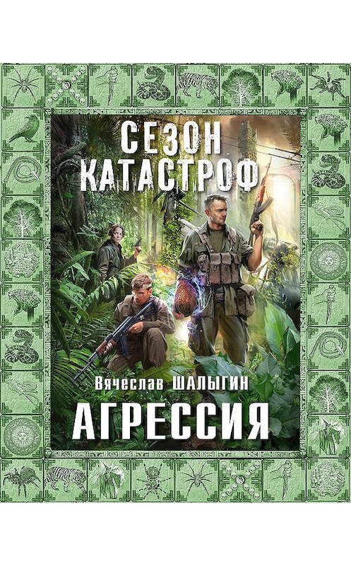Обложка книги «Агрессия» автора Вячеслава Шалыгина.