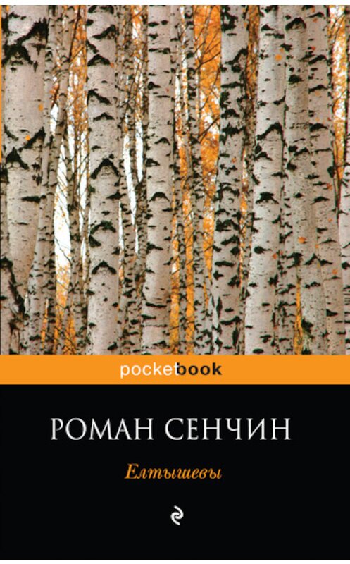 Обложка книги «Елтышевы» автора Романа Сенчина издание 2009 года. ISBN 9785699357383.